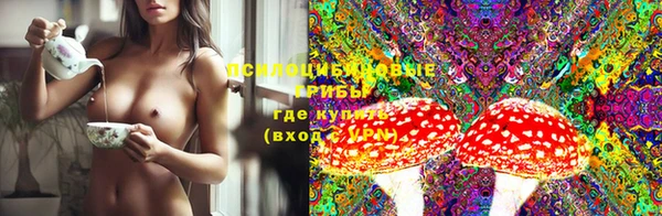 ПСИЛОЦИБИНОВЫЕ ГРИБЫ Карпинск