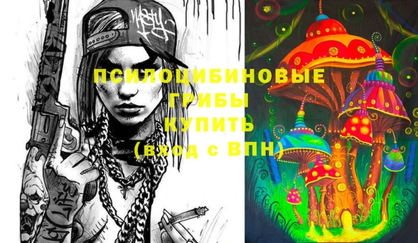 эйфоретик Каменка