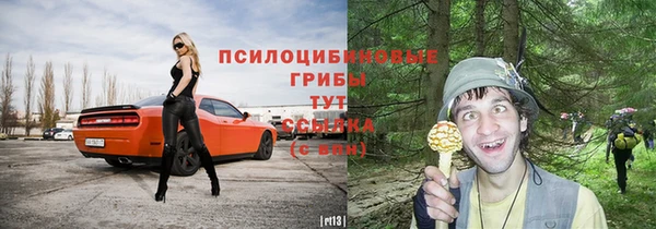 ПСИЛОЦИБИНОВЫЕ ГРИБЫ Карпинск