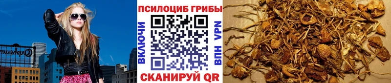 Купить закладки  Белоозёрский  Галлюциногенные грибы Magic Shrooms 